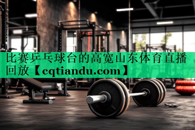 比赛乒乓球台的高宽山东体育直播回放