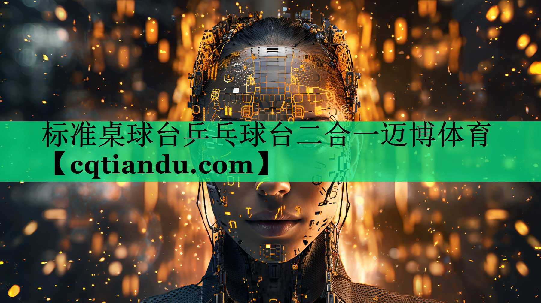 标准桌球台乒乓球台二合一迈博体育