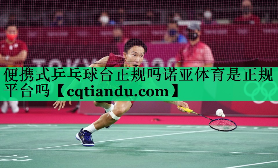 便携式乒乓球台正规吗诺亚体育是正规平台吗