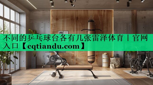 不同的乒乓球台各有几张雷泽体育｜官网入口