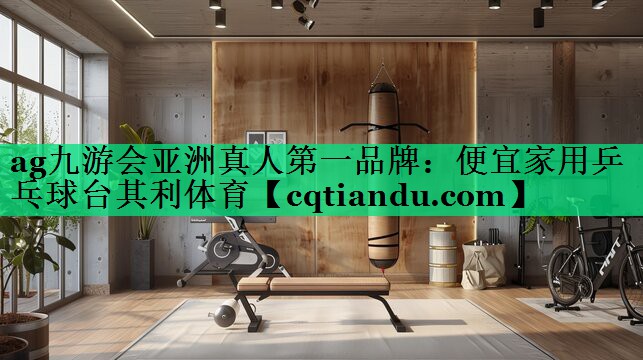 ag九游会亚洲真人第一品牌：便宜家用乒乓球台其利体育