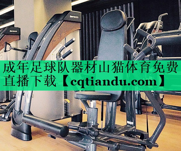 成年足球队器材山猫体育免费直播下载