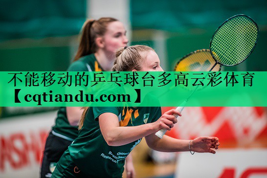 不能移动的乒乓球台多高云彩体育