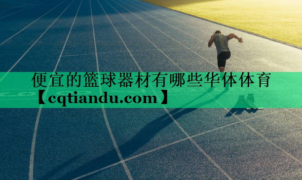 便宜的篮球器材有哪些华体体育