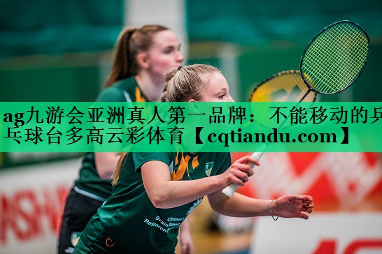 ag九游会亚洲真人第一品牌：不能移动的乒乓球台多高云彩体育