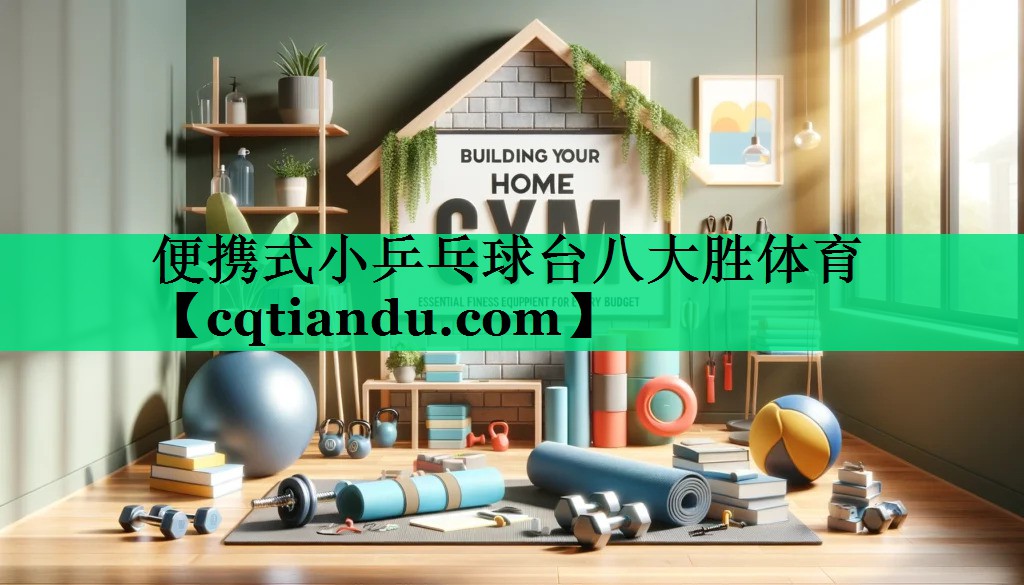 便携式小乒乓球台八大胜体育