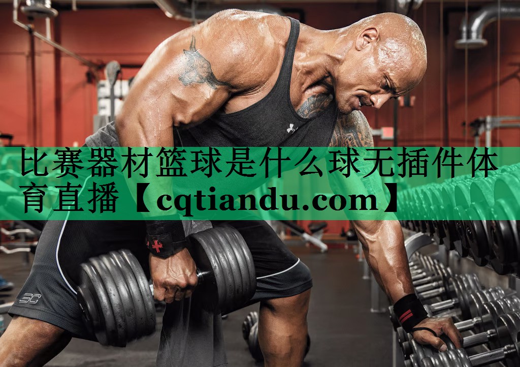比赛器材篮球是什么球无插件体育直播