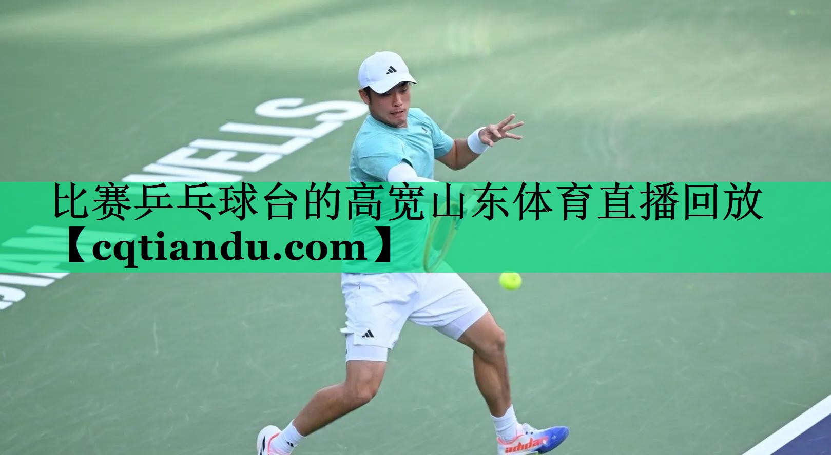 比赛乒乓球台的高宽山东体育直播回放