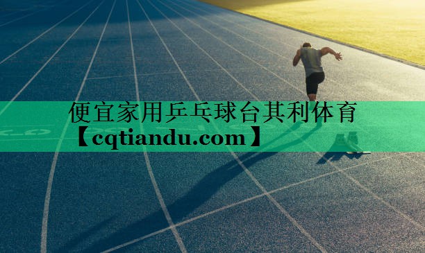 便宜家用乒乓球台其利体育