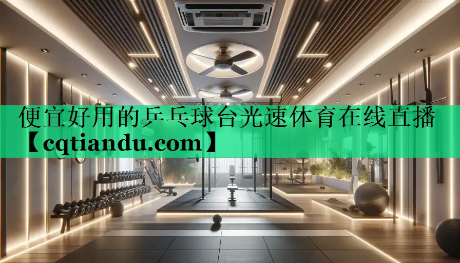 便宜好用的乒乓球台光速体育在线直播