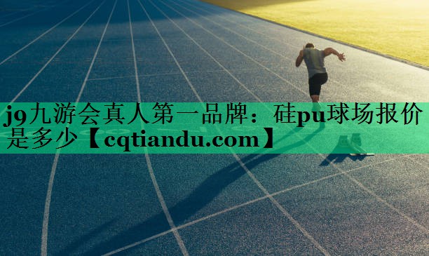 硅pu球场报价是多少