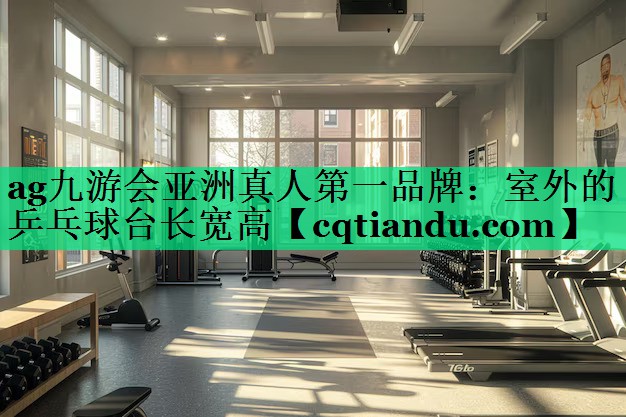 室外的乒乓球台长宽高