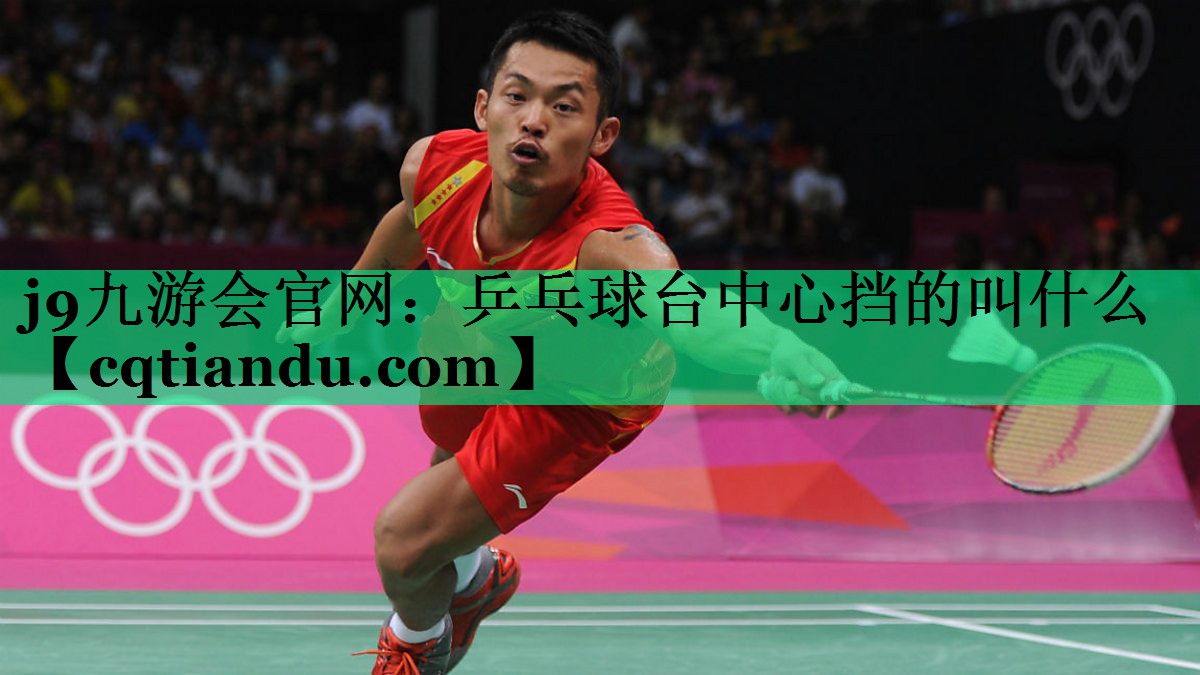 乒乓球台中心挡的叫什么