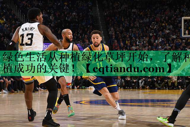 绿色生活从种植绿化草坪开始，了解种植成功的关键！