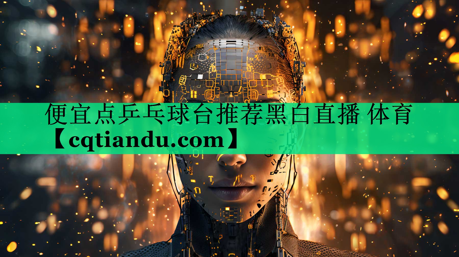 便宜点乒乓球台推荐黑白直播 体育