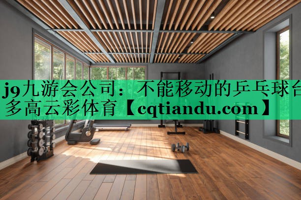 j9九游会公司：不能移动的乒乓球台多高云彩体育