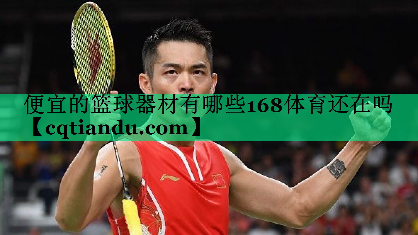 便宜的篮球器材有哪些168体育还在吗
